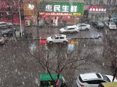 城市