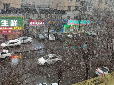 城市