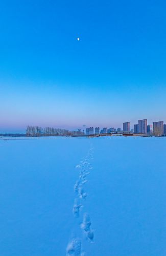 城市