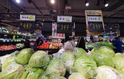 城市