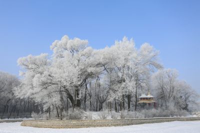 城市