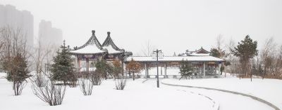 城市