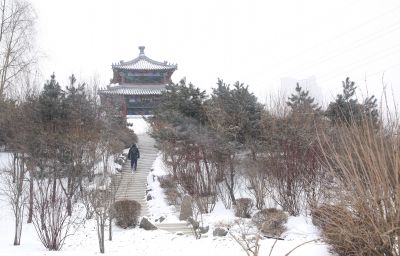城市
