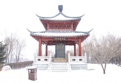 城市