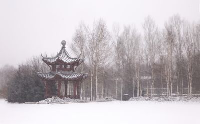 城市