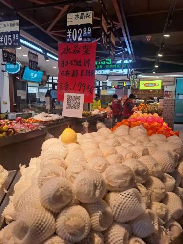 城市