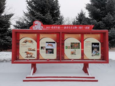 城市