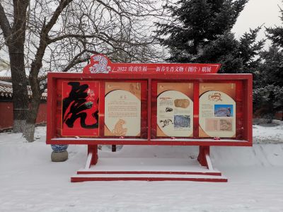 城市