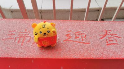 城市