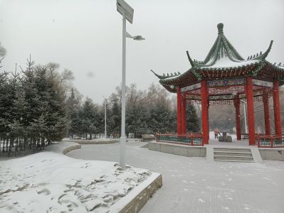 城市
