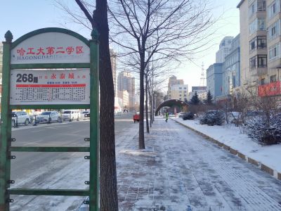 城市