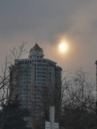 城市