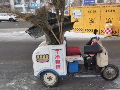 城市