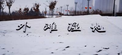 城市