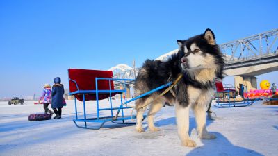 冰雪旅游