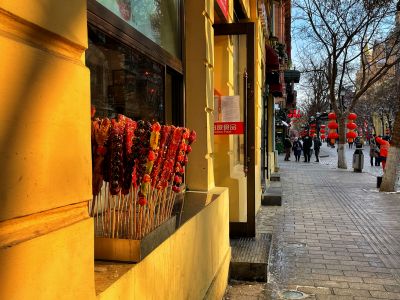 城市