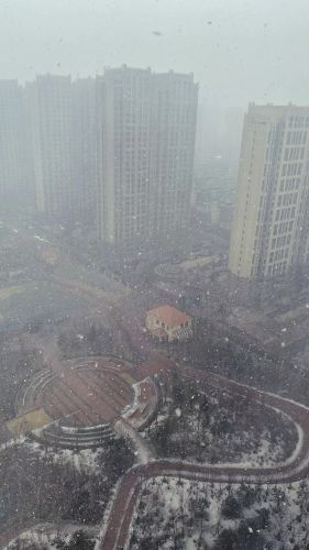城市