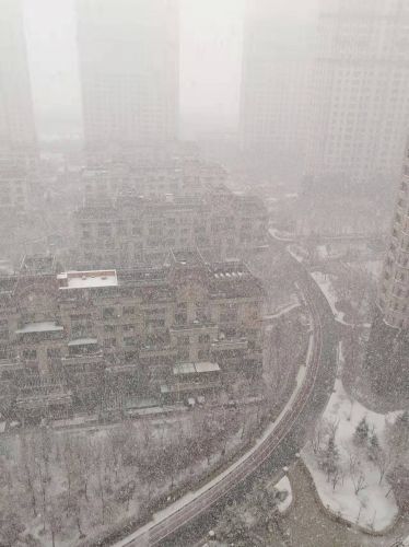 城市