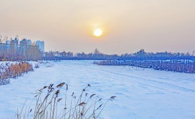 冬天的外滩湿地