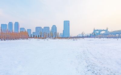 冬天的外滩湿地