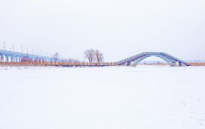 冬天的外滩湿地