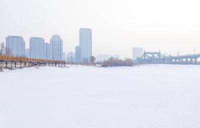 冬天的外滩湿地