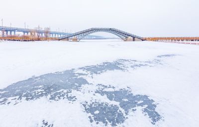 冬天的外滩湿地