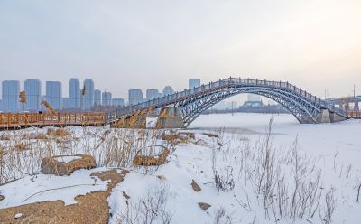 冬天的外滩湿地
