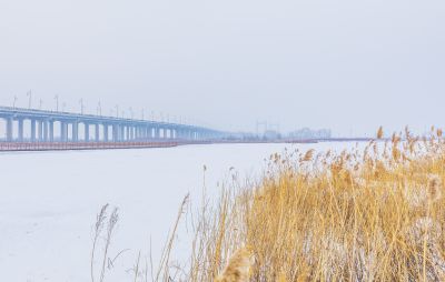 冬天的外滩湿地