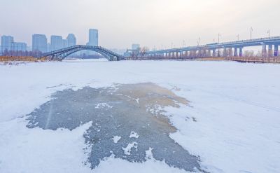 冬天的外滩湿地