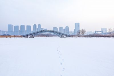 冬天的外滩湿地