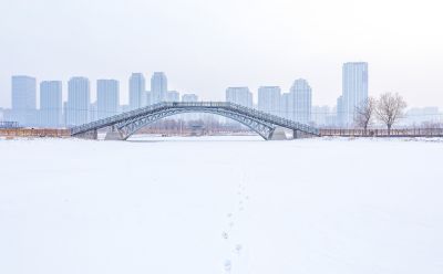 冬天的外滩湿地