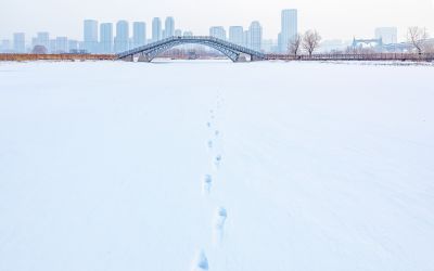 冬天的外滩湿地