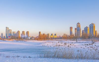 外滩湿地江畔冬景