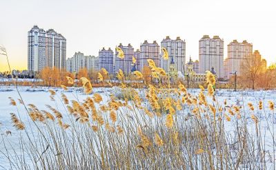外滩湿地江畔冬景