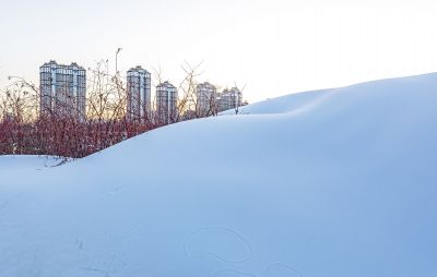 外滩湿地江畔冬景