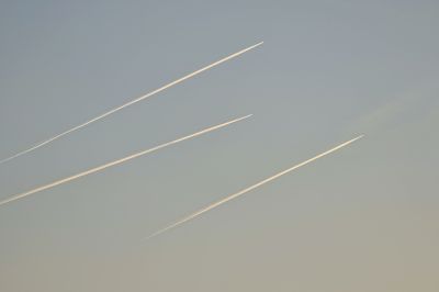 冬日随拍（一）