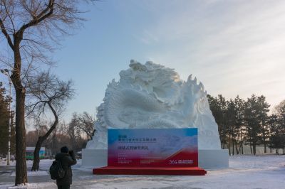 第九届黑龙江省大学生雪雕比赛