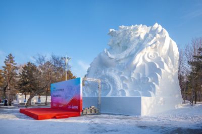 第九届黑龙江省大学生雪雕比赛完美收官