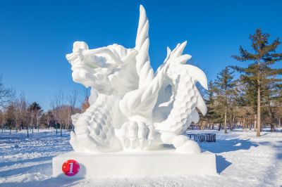 第九届黑龙江省大学生雪雕比赛完美收官