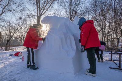 第九届黑龙江省大学生雪雕比赛完美收官
