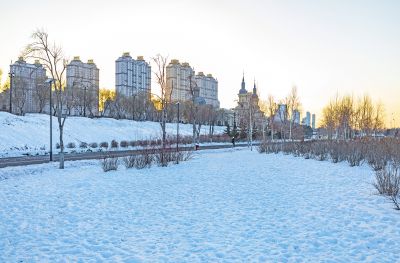 外滩湿地冬景