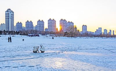 外滩湿地冬景