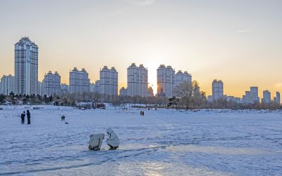 外滩湿地冬景