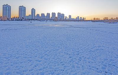 外滩湿地冬景