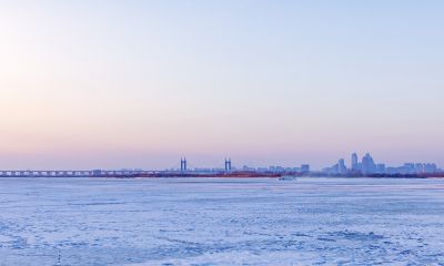 外滩湿地冬景