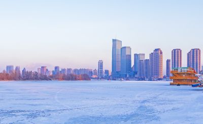 外滩湿地冬景