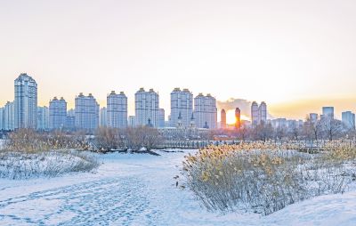外滩湿地冬景