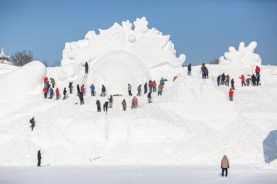 哈尔滨太阳岛巨型雪雕制作中