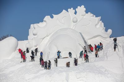哈尔滨太阳岛巨型雪雕制作中